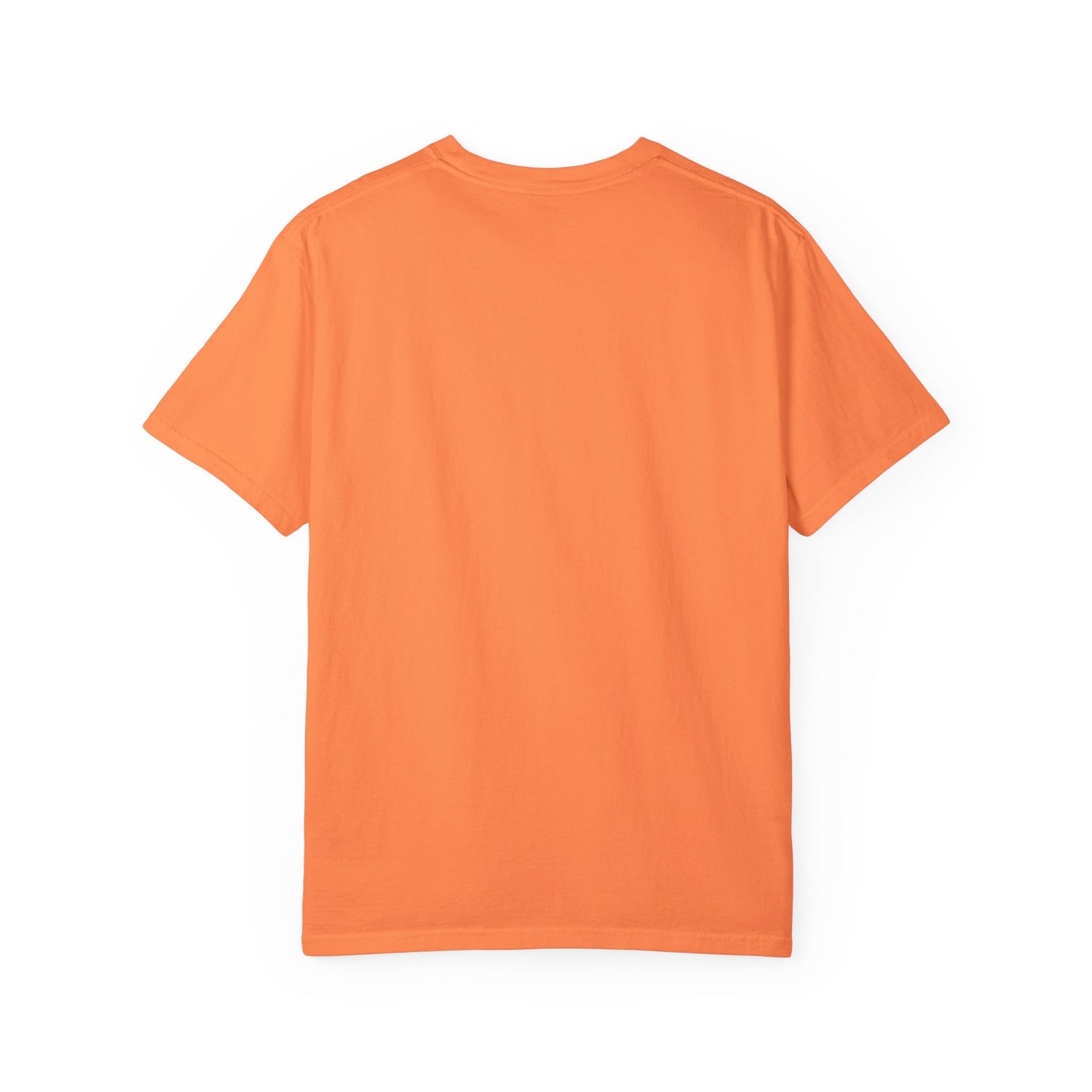 VIBEISH IDGAF woman tee