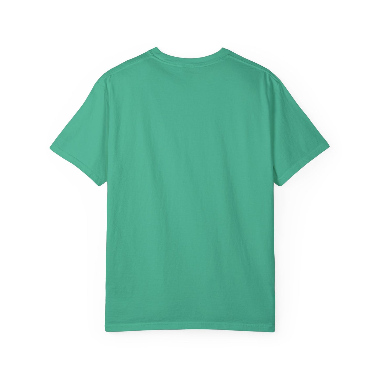 VIBEISH IDGAF woman tee