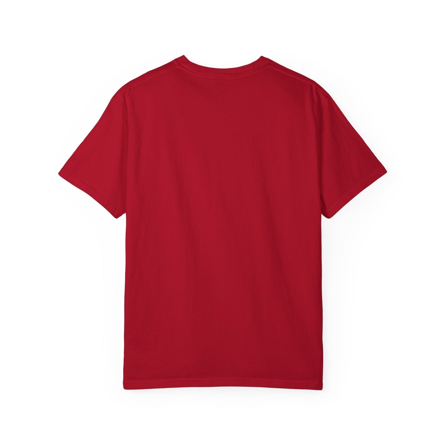 VIBEISH IDGAF woman tee